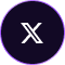 x icon